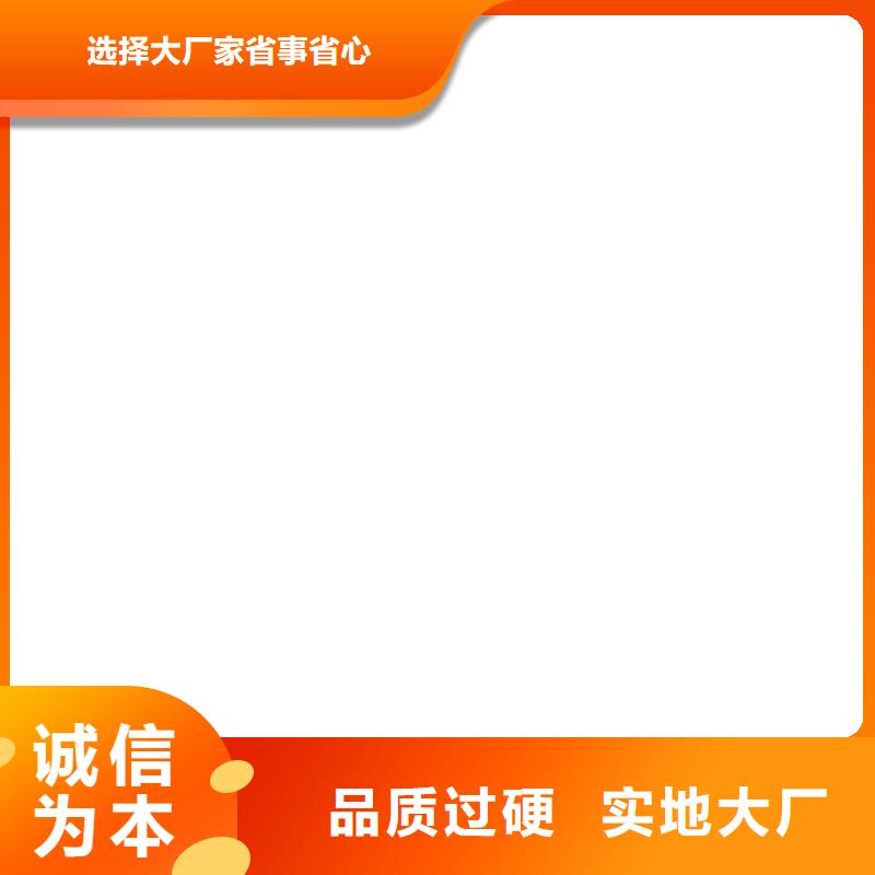 煤场用电子皮带秤
