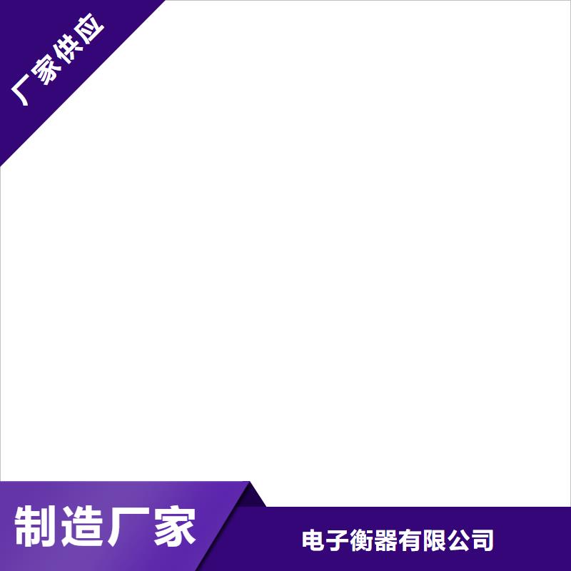 皮带秤报价