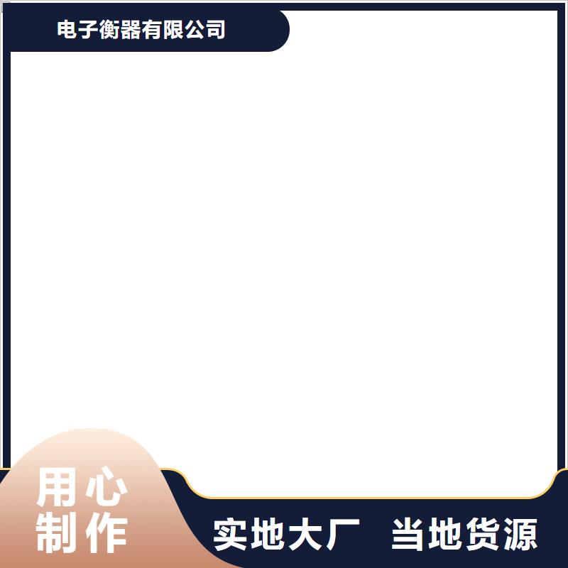 电子皮带秤远销全国