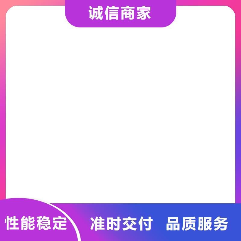 煤场用电子皮带秤