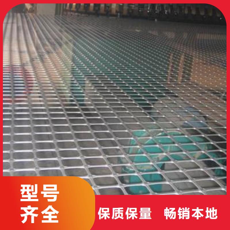 双向塑料格栅生产厂家