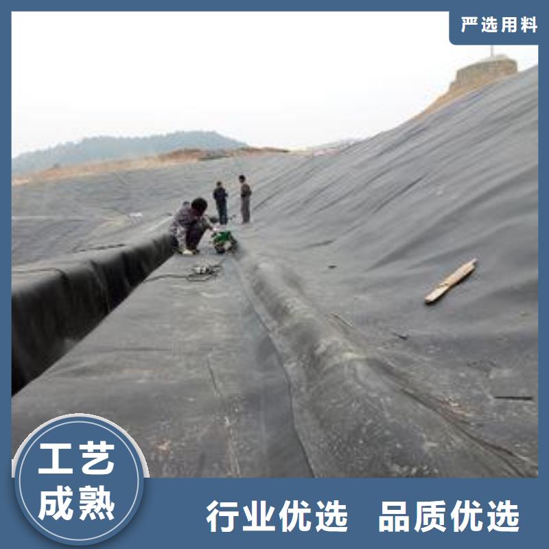 琼中县批发HDPE土工膜土工膜商家可定制生产