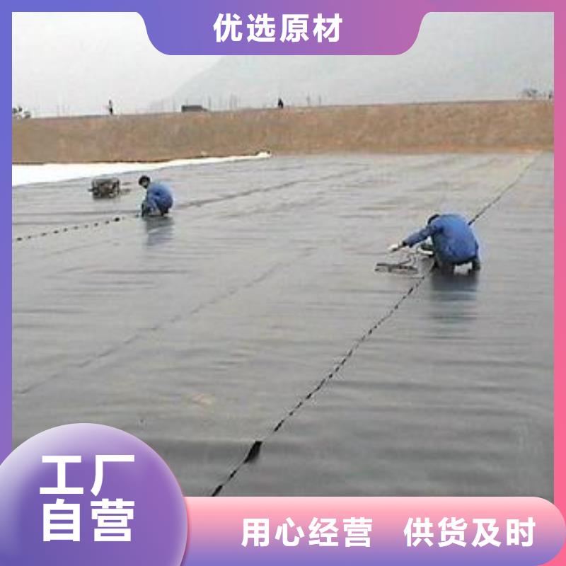 400g土工膜公路隔离土工膜生产厂家