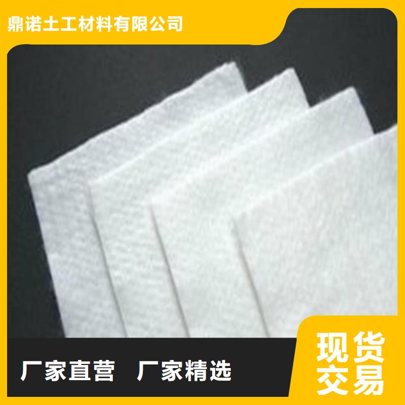强力高长丝土工布厂家欢迎来电咨询