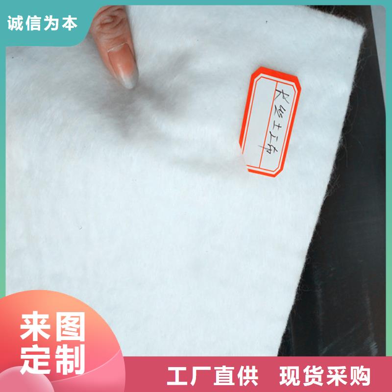 防渗土工布丙纶高强土工布无纺土工布厂家两布一膜