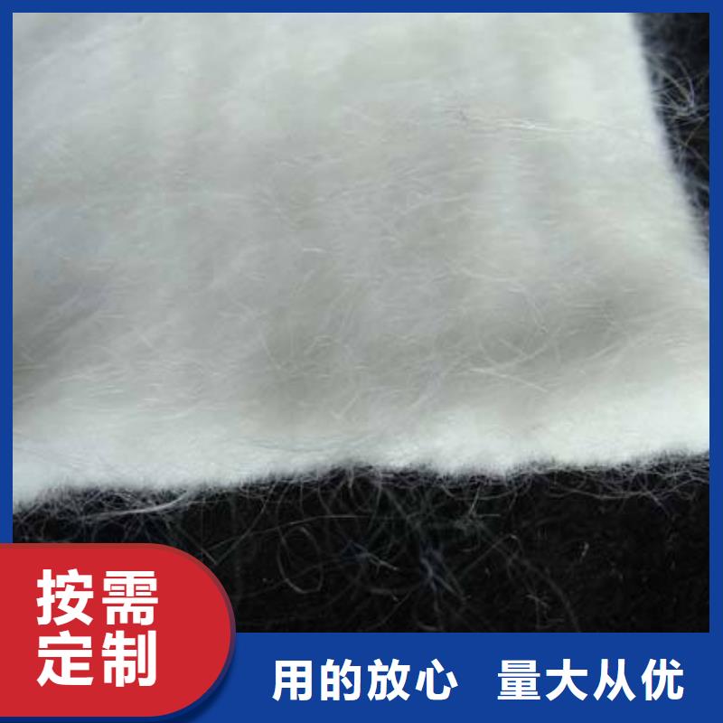 土工布单向塑料土工格栅同行低价