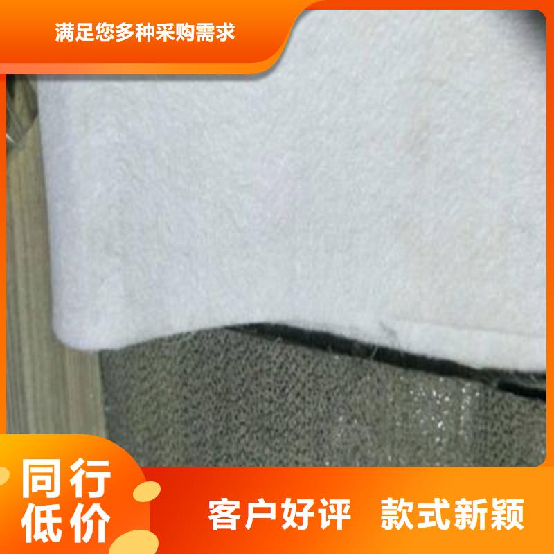 无纺聚酯长丝土工布涤纶短丝土工布厂家直销现货直发
