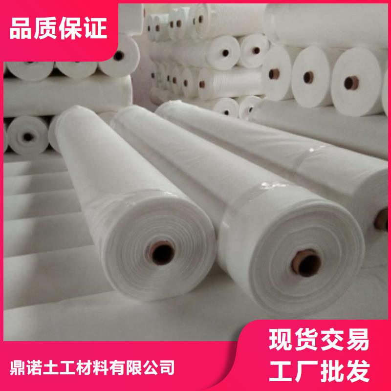 800g长丝土工布厂家，800g长丝土工布价格，覆盖用土工布厂家