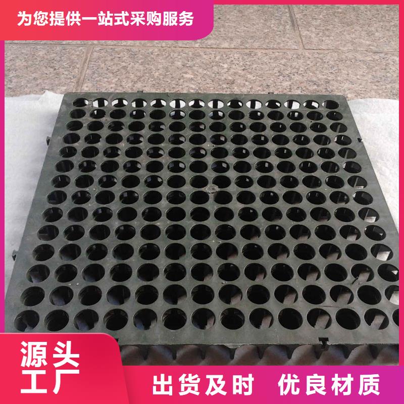 2cm屋顶绿化用排水板凹凸型塑料排水板价格