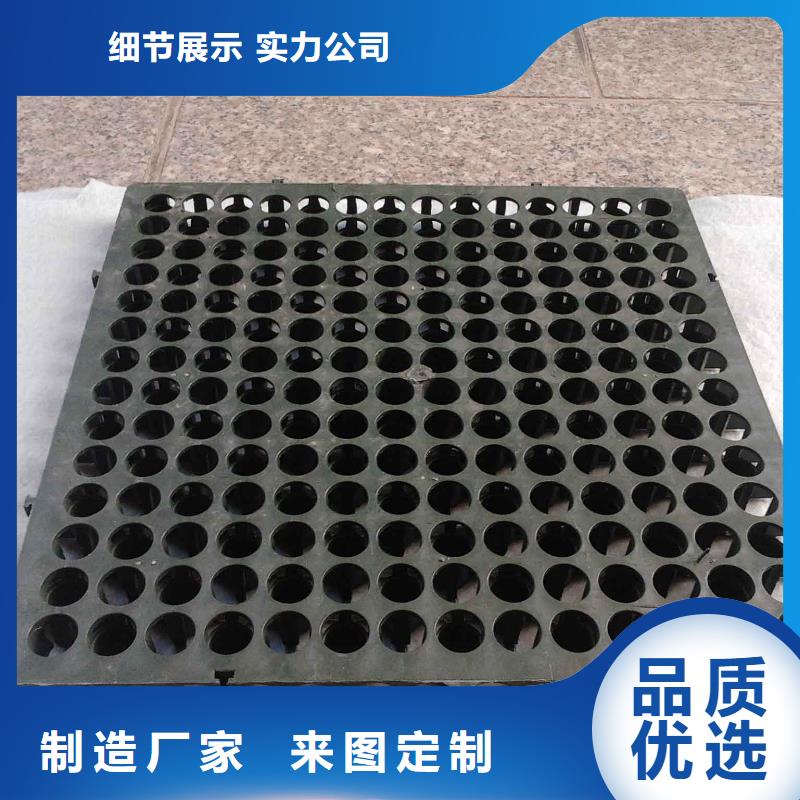 蓄排水板双向塑料土工格栅本地厂家值得信赖