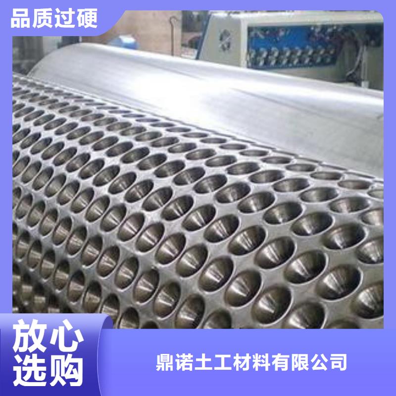 2cm屋顶绿化用排水板凹凸型塑料排水板价格