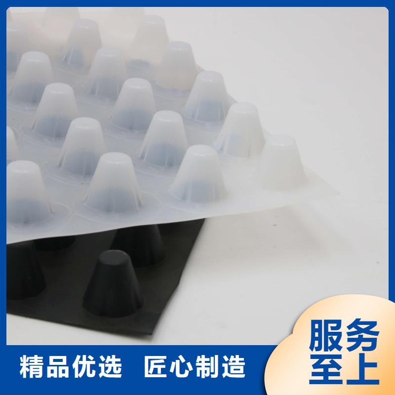 蓄排水板厂家大量批发-耐腐蚀