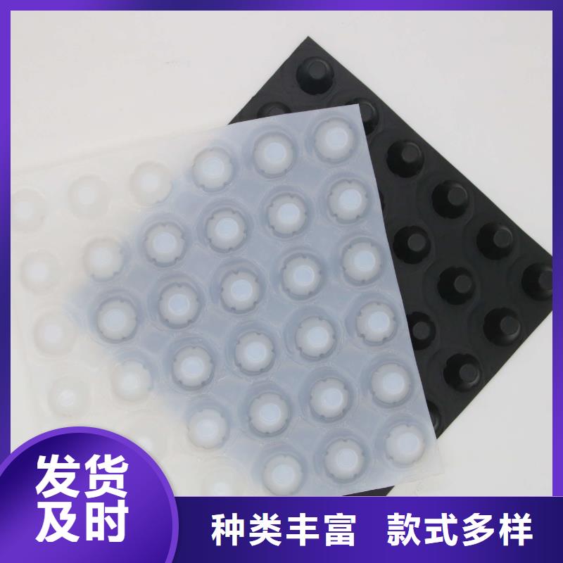 蓄排水板土工格室多种工艺