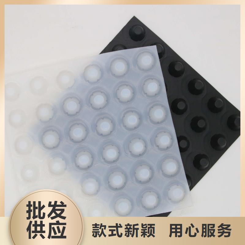 蓄排水板长丝土工布实体厂家