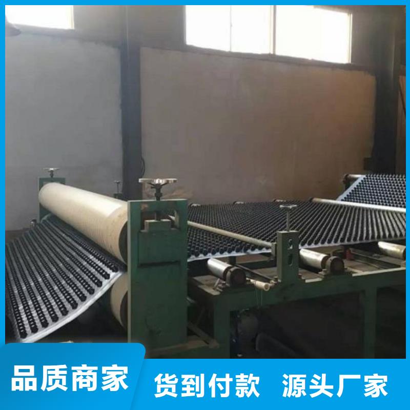 蓄排水板土工格室多种工艺