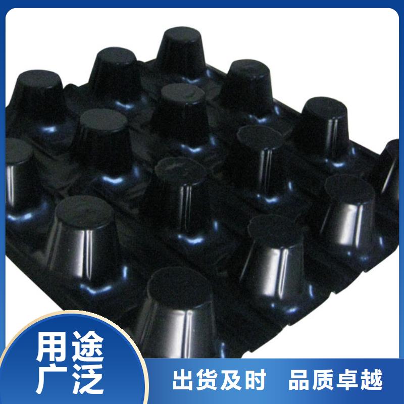 蓄排水板双向塑料土工格栅本地厂家值得信赖
