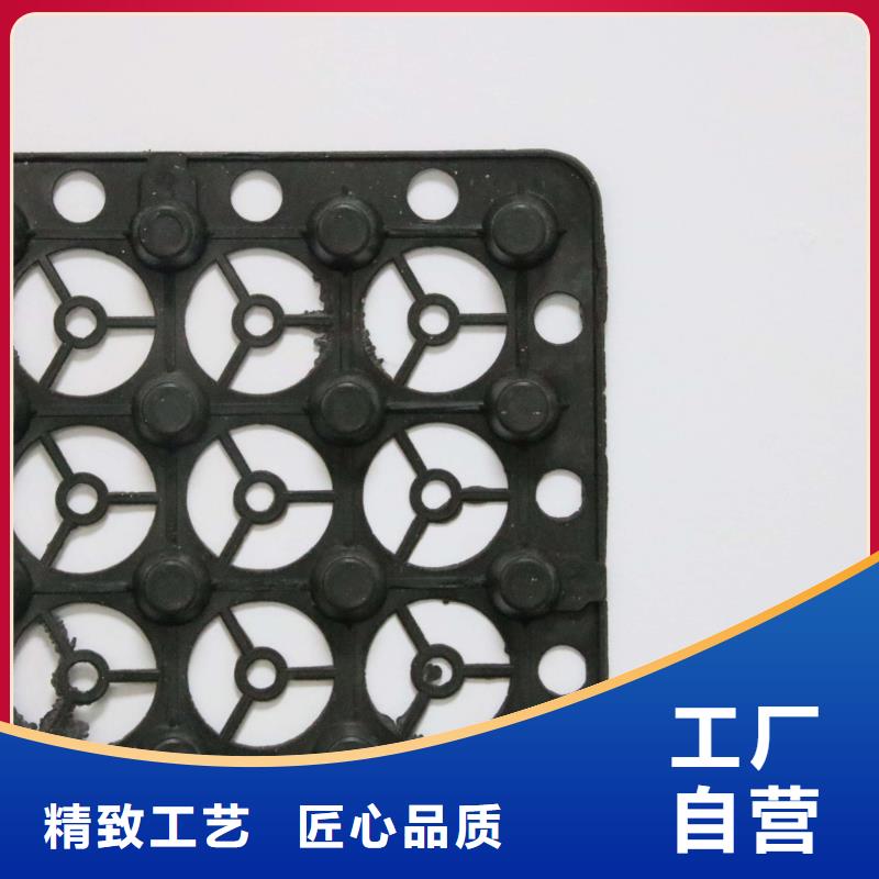 蓄排水板现货沥青路面专用厂家货源