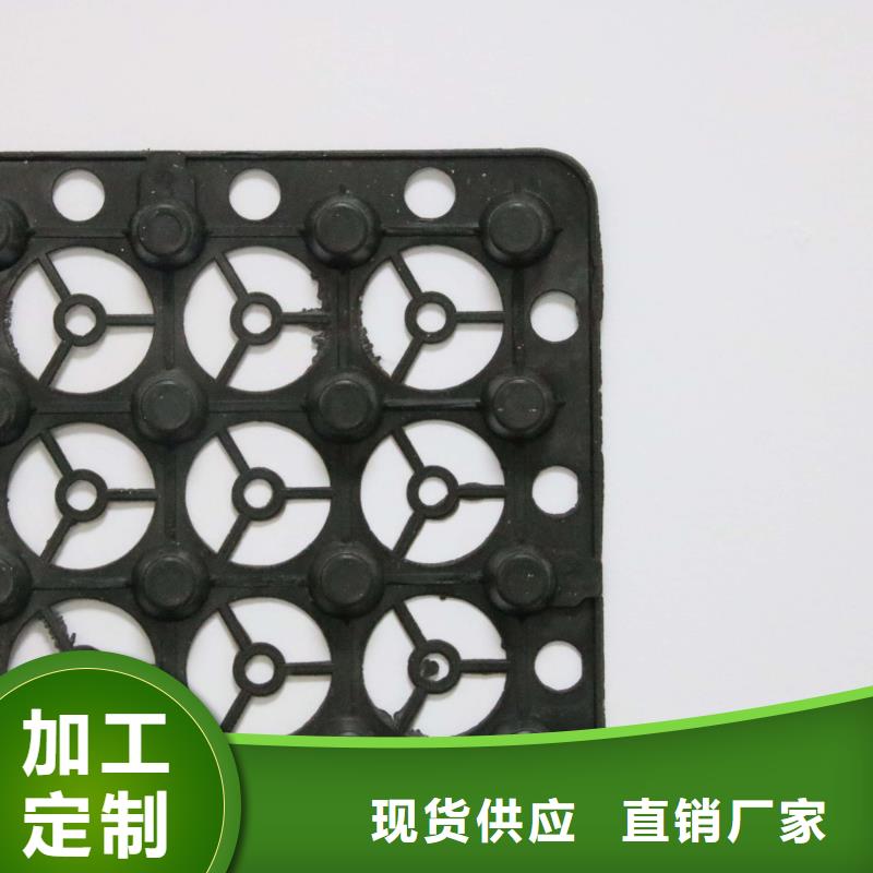 2cm屋顶绿化用排水板凹凸型塑料排水板价格
