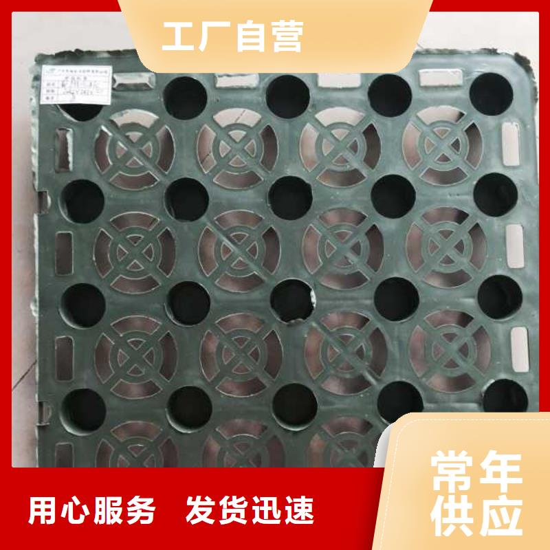 蓄排水板-三维复合排水网精心