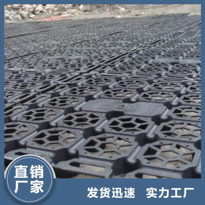 2cm屋顶绿化用排水板凹凸型塑料排水板价格