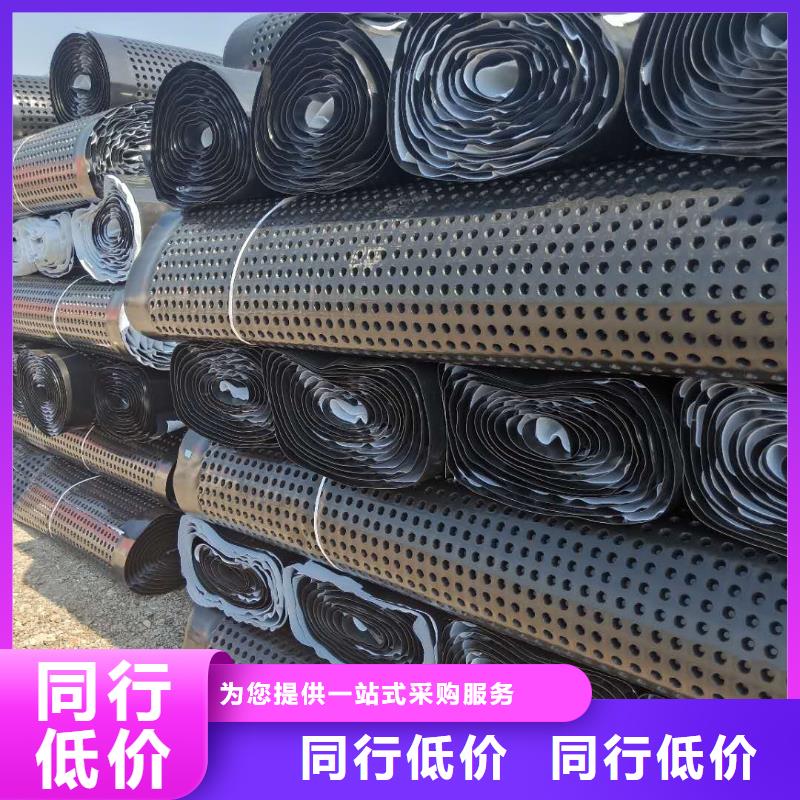 蓄排水板涤纶土工格栅实体厂家支持定制
