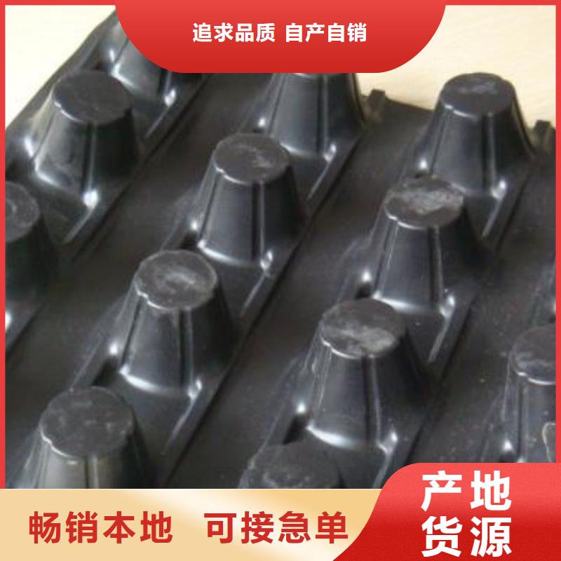 【蓄排水板】护坡土工网质检合格出厂
