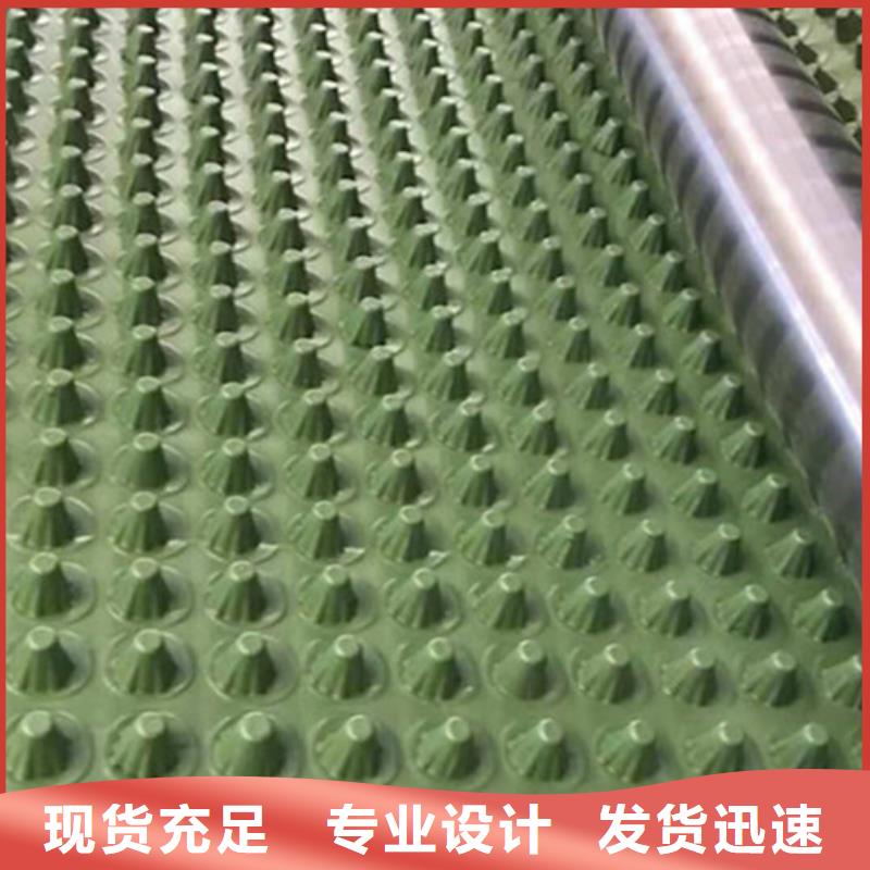 2cm屋顶绿化用排水板凹凸型塑料排水板价格