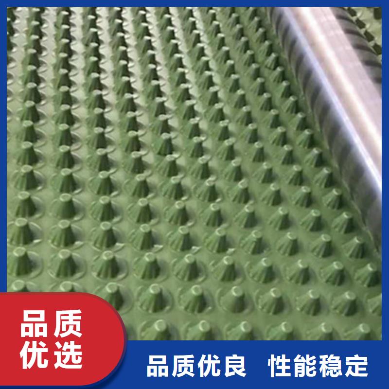 蓄排水板长丝土工布实体厂家