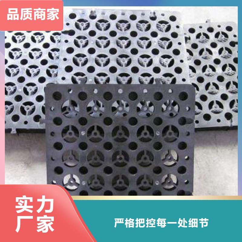 蓄排水板涤纶土工格栅实体厂家支持定制