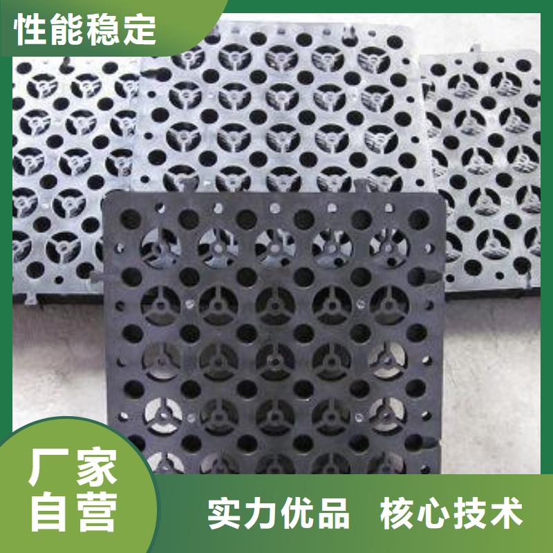 蓄排水板-三维复合排水网精心