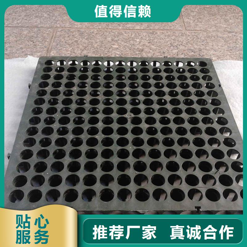 2cm屋顶绿化用排水板凹凸型塑料排水板价格