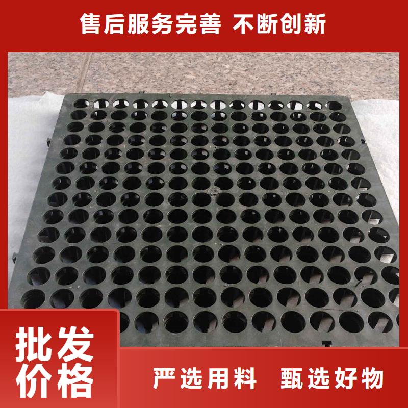 蓄排水板,复合土工膜品牌大厂家