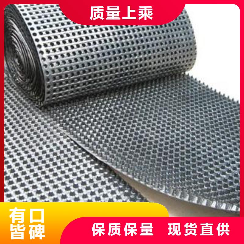 蓄排水板涤纶土工格栅实体厂家支持定制