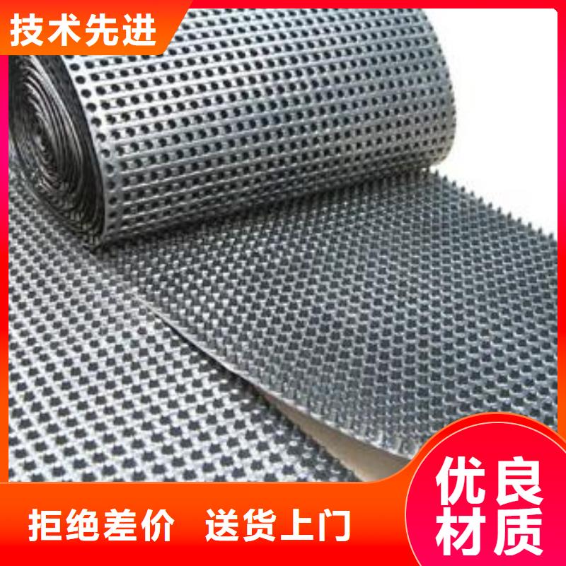 蓄排水板,复合土工膜品牌大厂家