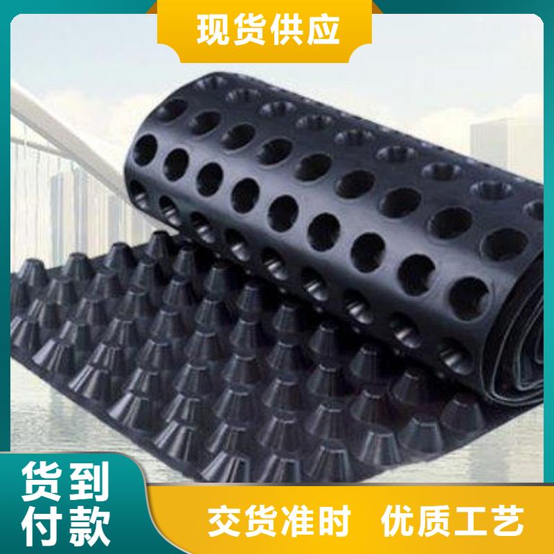 2cm屋顶绿化用排水板凹凸型塑料排水板价格