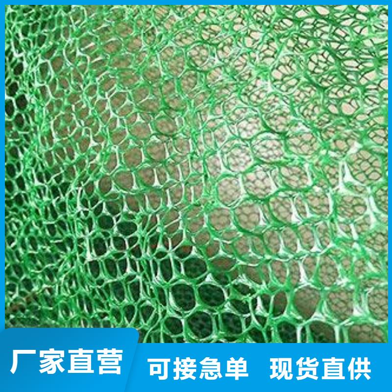 三维植被网玻纤土工格栅现货供应
