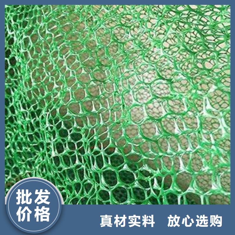 【三维植被网】,长丝土工布信誉至上