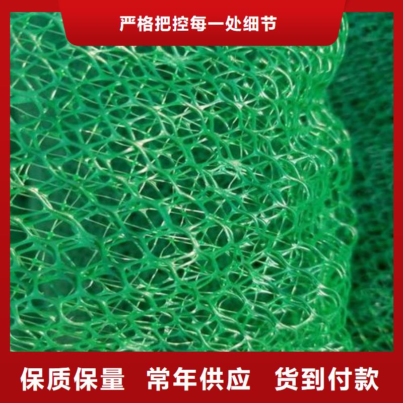 昌江县绿化用三维土工网垫三维植被网厂家直供价格优惠