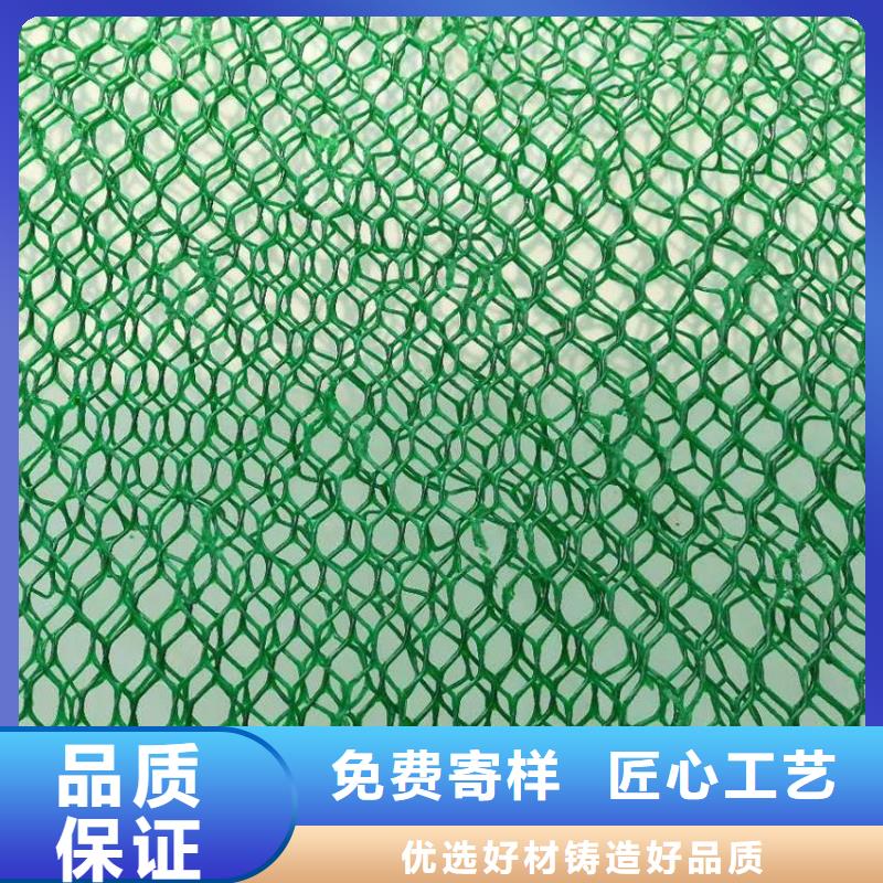 三维植被网-双向塑料土工格栅应用广泛