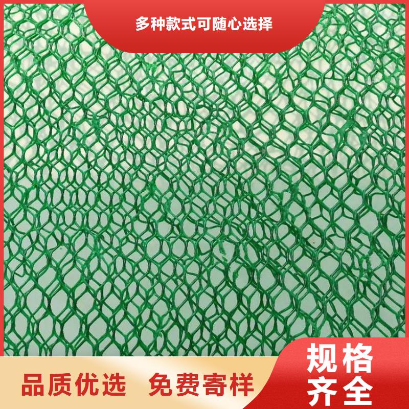昌江县绿化用三维土工网垫三维植被网厂家直供价格优惠