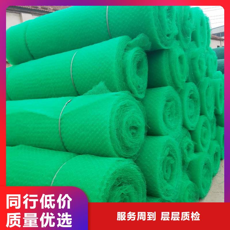 三维植被网厂家-边坡防护三维植被网