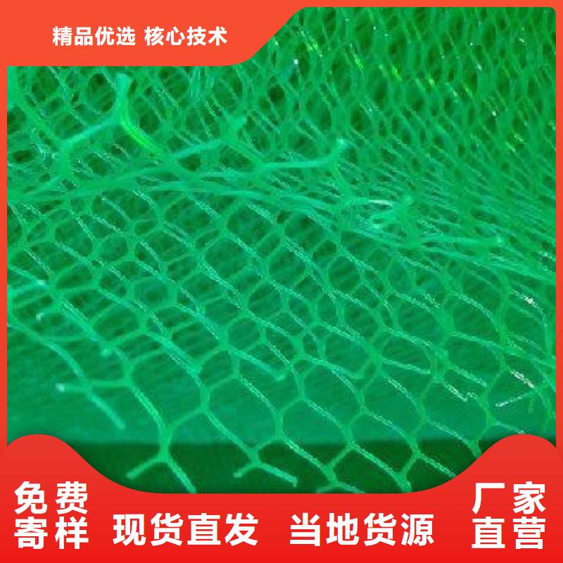 三维植被网三维土工网垫商家供货一手货源商家授信欢迎询价