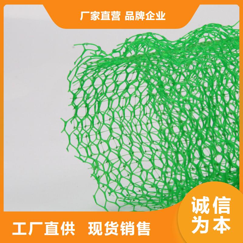 护坡三维植被网价格厂家直供