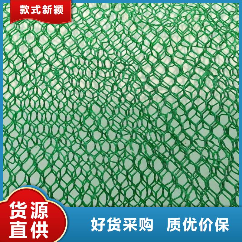 三维土工网垫生产|2025三维植被网