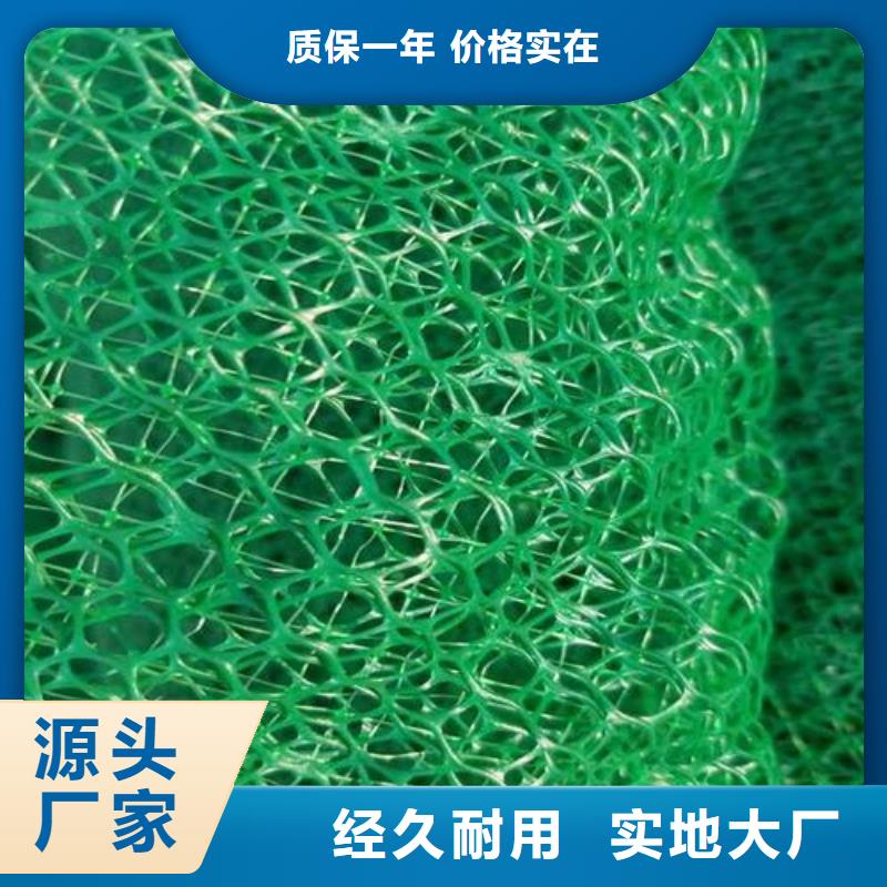 三维植被网价格
