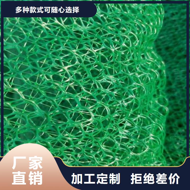 三维植被网订单生产