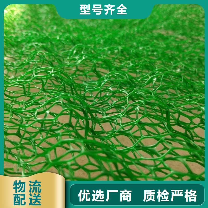 护坡三维植被网价格厂家直供