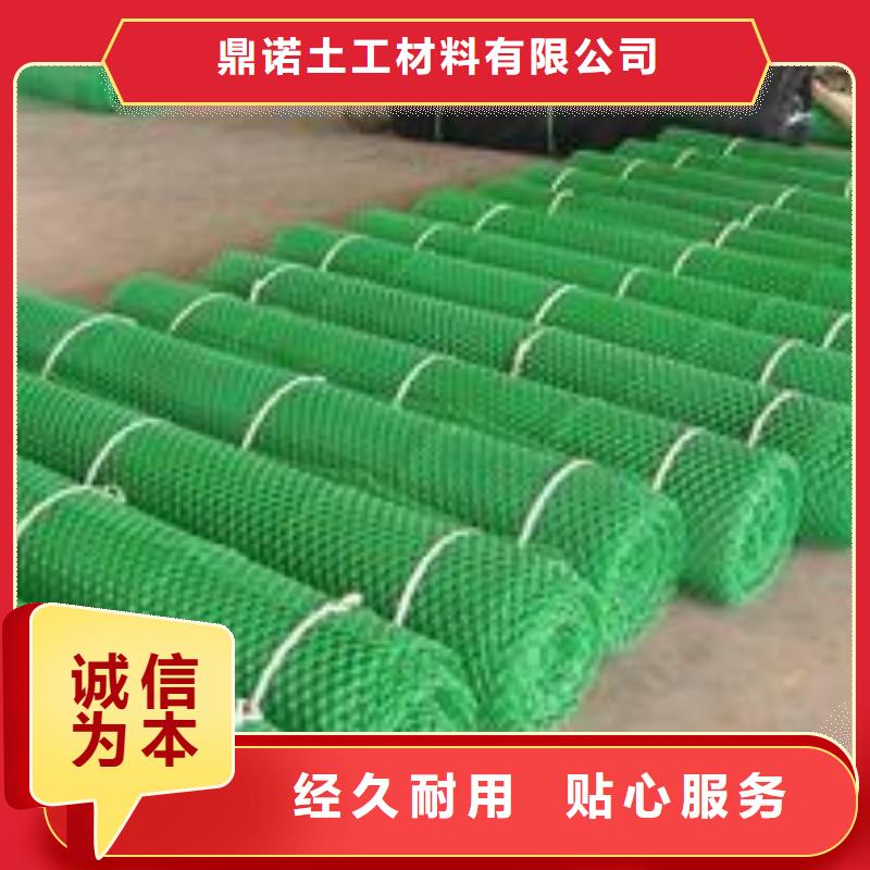 三维土工网垫厂家货源直供-欢迎采购
