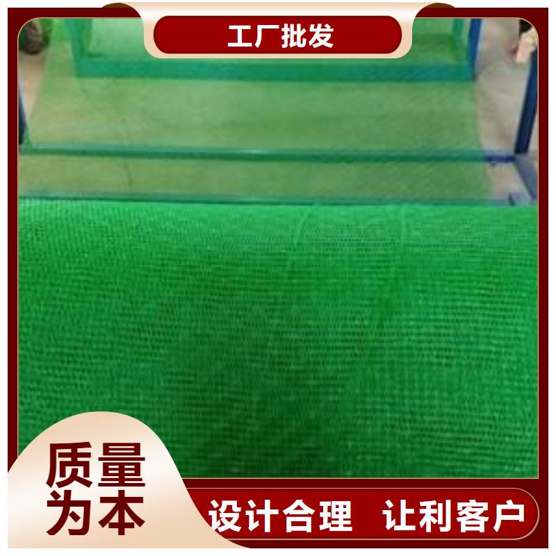 三维植被网塑料盲沟买的放心安兴用的舒心