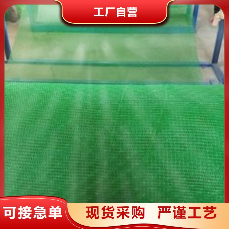 三维网垫供货商耐用植被网